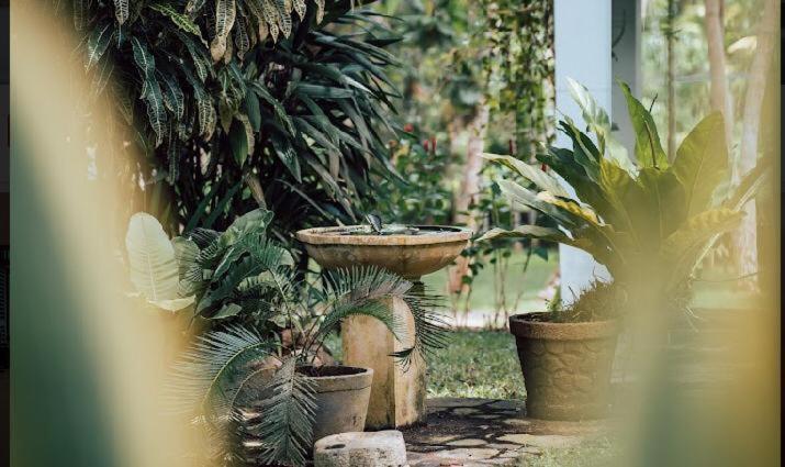 Amara Villa Ahangama Buitenkant foto